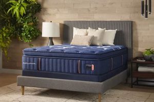 Stearns & Foster at Mattress Firm: Is It The Firm Choice? Organic & Natural Mattress Buyer’s Guide: Non-Toxic Sleep Solutions Stearns & Foster at Mattress Firm: Is It The Firm Choice? | Organic & Natural Mattress Buyer’s Guide: Non-Toxic Sleep Solutions