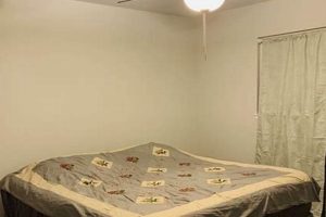 Shop Mattresses Near You: Mattress Firm Cerritos Deals Organic & Natural Mattress Buyer’s Guide: Non-Toxic Sleep Solutions Shop Mattresses Near You: Mattress Firm Cerritos Deals | Organic & Natural Mattress Buyer’s Guide: Non-Toxic Sleep Solutions