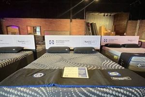Shop Mattresses Cedar Park TX | Mattress Firm Deals Organic & Natural Mattress Buyer’s Guide: Non-Toxic Sleep Solutions Shop Mattresses Cedar Park TX | Mattress Firm Deals | Organic & Natural Mattress Buyer’s Guide: Non-Toxic Sleep Solutions