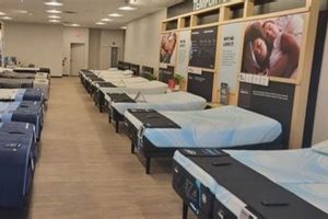 Mattress Firm Newton: Find Your Best Sleep [Deals!] | Organic & Natural Mattress Buyer’s Guide: Non-Toxic Sleep Solutions