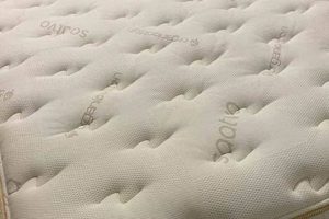 Find Mattress Firm Texarkana: Deals & Sleep Solutions Organic & Natural Mattress Buyer’s Guide: Non-Toxic Sleep Solutions Find Mattress Firm Texarkana: Deals & Sleep Solutions | Organic & Natural Mattress Buyer’s Guide: Non-Toxic Sleep Solutions