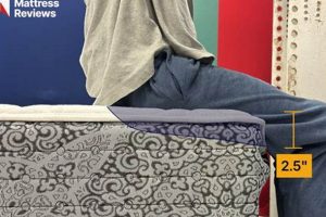 Find Your Perfect Mattress at Mattress Firm Acton Today! | Organic & Natural Mattress Buyer’s Guide: Non-Toxic Sleep Solutions