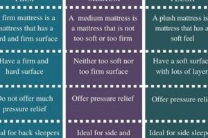 Firm vs Plush: Difference Between Mattresses + Guide Organic & Natural Mattress Buyer’s Guide: Non-Toxic Sleep Solutions Firm vs Plush: Difference Between Mattresses + Guide | Organic & Natural Mattress Buyer’s Guide: Non-Toxic Sleep Solutions