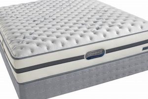 Best Simmons Extra Firm Mattress: Ultimate Support Guide Organic & Natural Mattress Buyer’s Guide: Non-Toxic Sleep Solutions Best Simmons Extra Firm Mattress: Ultimate Support Guide | Organic & Natural Mattress Buyer’s Guide: Non-Toxic Sleep Solutions