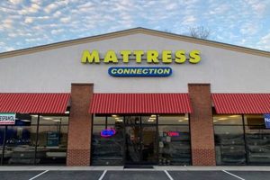 Find: Mattress Firm Dalton GA - Sleep Solutions Near You Organic & Natural Mattress Buyer’s Guide: Non-Toxic Sleep Solutions Find: Mattress Firm Dalton GA - Sleep Solutions Near You | Organic & Natural Mattress Buyer’s Guide: Non-Toxic Sleep Solutions