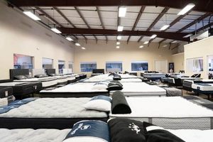 Shop Mattress Firm Venice FL: Your Sleep Starts Here Organic & Natural Mattress Buyer’s Guide: Non-Toxic Sleep Solutions Shop Mattress Firm Venice FL: Your Sleep Starts Here | Organic & Natural Mattress Buyer’s Guide: Non-Toxic Sleep Solutions