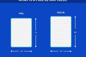 Full XL Mattress: Size Guide & Who Needs It? | Organic & Natural Mattress Buyer’s Guide: Non-Toxic Sleep Solutions