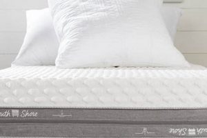 Best Dual Firmness Mattress: Is It Right For *You*? Organic & Natural Mattress Buyer’s Guide: Non-Toxic Sleep Solutions Best Dual Firmness Mattress: Is It Right For *You*? | Organic & Natural Mattress Buyer’s Guide: Non-Toxic Sleep Solutions