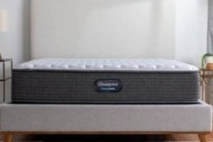 Best Mattress Firm Rogers AR: Find Your Perfect Bed Organic & Natural Mattress Buyer’s Guide: Non-Toxic Sleep Solutions Best Mattress Firm Rogers AR: Find Your Perfect Bed | Organic & Natural Mattress Buyer’s Guide: Non-Toxic Sleep Solutions
