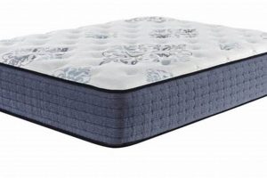 Find Best Mattress Firm Largo FL: Sleep Solutions Here! Organic & Natural Mattress Buyer’s Guide: Non-Toxic Sleep Solutions Find Best Mattress Firm Largo FL: Sleep Solutions Here! | Organic & Natural Mattress Buyer’s Guide: Non-Toxic Sleep Solutions