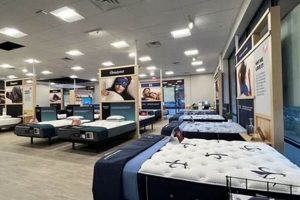 Mattress Firm McKinney Ave: Your Sleep Solution Organic & Natural Mattress Buyer’s Guide: Non-Toxic Sleep Solutions Mattress Firm McKinney Ave: Your Sleep Solution | Organic & Natural Mattress Buyer’s Guide: Non-Toxic Sleep Solutions