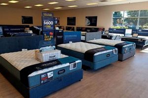 Best Mattress Firm Gilroy: [Year] Sleep Guide | Organic & Natural Mattress Buyer’s Guide: Non-Toxic Sleep Solutions