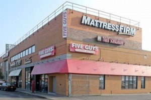 Find Mattress Firm Woodhaven Blvd: Sleep Better Near You! Organic & Natural Mattress Buyer’s Guide: Non-Toxic Sleep Solutions Find Mattress Firm Woodhaven Blvd: Sleep Better Near You! | Organic & Natural Mattress Buyer’s Guide: Non-Toxic Sleep Solutions