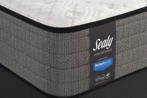 Sealy Extra Firm Mattress: Support You Can Trust! Organic & Natural Mattress Buyer’s Guide: Non-Toxic Sleep Solutions Sealy Extra Firm Mattress: Support You Can Trust! | Organic & Natural Mattress Buyer’s Guide: Non-Toxic Sleep Solutions