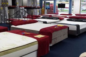 Find the Best Mattress: Mattress Firm Bellingham Deals Near You Organic & Natural Mattress Buyer’s Guide: Non-Toxic Sleep Solutions Find the Best Mattress: Mattress Firm Bellingham Deals Near You | Organic & Natural Mattress Buyer’s Guide: Non-Toxic Sleep Solutions