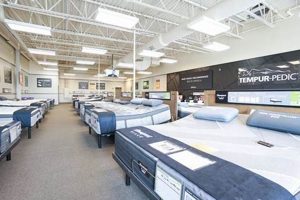 Algonquin Mattress Firm: Your Sleep Solution Local Organic & Natural Mattress Buyer’s Guide: Non-Toxic Sleep Solutions Algonquin Mattress Firm: Your Sleep Solution Local | Organic & Natural Mattress Buyer’s Guide: Non-Toxic Sleep Solutions