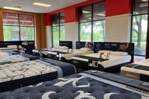 Best Mattress Firm Greensboro: Sleep Solutions + Deals Organic & Natural Mattress Buyer’s Guide: Non-Toxic Sleep Solutions Best Mattress Firm Greensboro: Sleep Solutions + Deals | Organic & Natural Mattress Buyer’s Guide: Non-Toxic Sleep Solutions