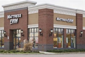 Is Mattress Firm Money Laundering? Risks & Red Flags Organic & Natural Mattress Buyer’s Guide: Non-Toxic Sleep Solutions Is Mattress Firm Money Laundering? Risks & Red Flags | Organic & Natural Mattress Buyer’s Guide: Non-Toxic Sleep Solutions