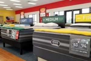 Best Mattress Firm in St. Petersburg, FL: [Deals!] | Organic & Natural Mattress Buyer’s Guide: Non-Toxic Sleep Solutions