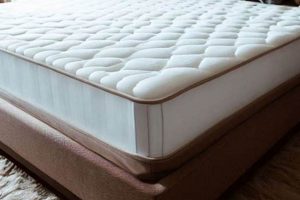 Best Plush Firm Mattress [Guide] For Supportive Sleep | Organic & Natural Mattress Buyer’s Guide: Non-Toxic Sleep Solutions