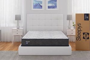 Best Sleepy's Sealy Slumber Firm Mattress For Back Support! | Organic & Natural Mattress Buyer’s Guide: Non-Toxic Sleep Solutions