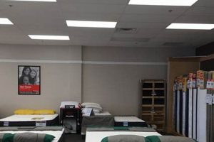 Mattress Firm Davie: Your Best Sleep Starts Here | Organic & Natural Mattress Buyer’s Guide: Non-Toxic Sleep Solutions