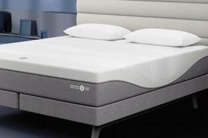 Adjustable Sleep: Twin XL Sleep Number Mattress Guide Organic & Natural Mattress Buyer’s Guide: Non-Toxic Sleep Solutions Adjustable Sleep: Twin XL Sleep Number Mattress Guide | Organic & Natural Mattress Buyer’s Guide: Non-Toxic Sleep Solutions