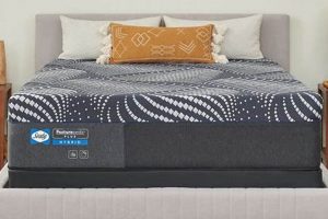Buy Posturepedic Hybrid High Point 14 Firm Mattress - [Year] Best | Organic & Natural Mattress Buyer’s Guide: Non-Toxic Sleep Solutions