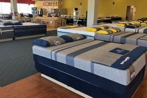 Best Mattress Firm Bloomington: Sleep Solutions Near You Organic & Natural Mattress Buyer’s Guide: Non-Toxic Sleep Solutions Best Mattress Firm Bloomington: Sleep Solutions Near You | Organic & Natural Mattress Buyer’s Guide: Non-Toxic Sleep Solutions