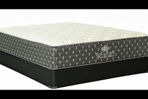 Best Mattress Firm Rome: Sleep Comfort Experts Organic & Natural Mattress Buyer’s Guide: Non-Toxic Sleep Solutions Best Mattress Firm Rome: Sleep Comfort Experts | Organic & Natural Mattress Buyer’s Guide: Non-Toxic Sleep Solutions