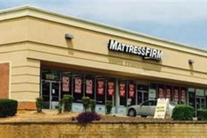 Your Best Sleep at Mattress Firm Snellville, GA Organic & Natural Mattress Buyer’s Guide: Non-Toxic Sleep Solutions Your Best Sleep at Mattress Firm Snellville, GA | Organic & Natural Mattress Buyer’s Guide: Non-Toxic Sleep Solutions