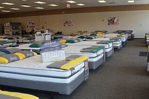 Find a Mattress Firm Near Everett, WA: Sleep Better Now! Organic & Natural Mattress Buyer’s Guide: Non-Toxic Sleep Solutions Find a Mattress Firm Near Everett, WA: Sleep Better Now! | Organic & Natural Mattress Buyer’s Guide: Non-Toxic Sleep Solutions
