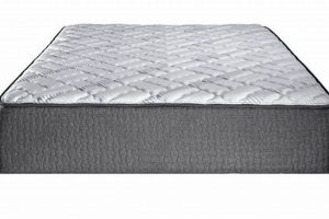 Your Dream Mattress at Mattress Firm Harlingen TX Organic & Natural Mattress Buyer’s Guide: Non-Toxic Sleep Solutions Your Dream Mattress at Mattress Firm Harlingen TX | Organic & Natural Mattress Buyer’s Guide: Non-Toxic Sleep Solutions