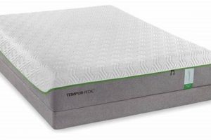 Best Twin XL Tempur-Pedic Mattress for Taller Sleepers! Organic & Natural Mattress Buyer’s Guide: Non-Toxic Sleep Solutions Best Twin XL Tempur-Pedic Mattress for Taller Sleepers! | Organic & Natural Mattress Buyer’s Guide: Non-Toxic Sleep Solutions