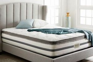 Best Mattress Firm Gurnee: Sleep Soundly Here! Organic & Natural Mattress Buyer’s Guide: Non-Toxic Sleep Solutions Best Mattress Firm Gurnee: Sleep Soundly Here! | Organic & Natural Mattress Buyer’s Guide: Non-Toxic Sleep Solutions