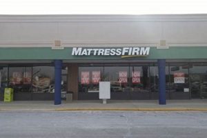 Best Mattress Firm Manahawkin NJ [Deals + Reviews] | Organic & Natural Mattress Buyer’s Guide: Non-Toxic Sleep Solutions
