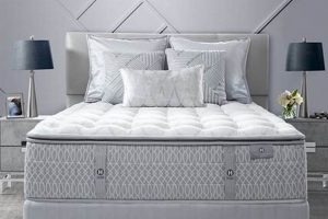 Find Your Perfect Mattress: Mattress Firm Casa Grande AZ Organic & Natural Mattress Buyer’s Guide: Non-Toxic Sleep Solutions Find Your Perfect Mattress: Mattress Firm Casa Grande AZ | Organic & Natural Mattress Buyer’s Guide: Non-Toxic Sleep Solutions