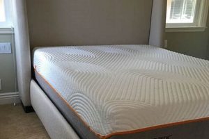 Sleep Better with Mattress Firm Menifee: Deals & More Organic & Natural Mattress Buyer’s Guide: Non-Toxic Sleep Solutions Sleep Better with Mattress Firm Menifee: Deals & More | Organic & Natural Mattress Buyer’s Guide: Non-Toxic Sleep Solutions