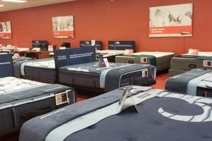 Find Your Dream Mattress | Mattress Firm Easton Store Organic & Natural Mattress Buyer’s Guide: Non-Toxic Sleep Solutions Find Your Dream Mattress | Mattress Firm Easton Store | Organic & Natural Mattress Buyer’s Guide: Non-Toxic Sleep Solutions