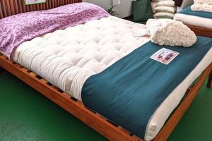 Best Mattress Firm Boulder: Sleep Solutions & More Organic & Natural Mattress Buyer’s Guide: Non-Toxic Sleep Solutions Best Mattress Firm Boulder: Sleep Solutions & More | Organic & Natural Mattress Buyer’s Guide: Non-Toxic Sleep Solutions