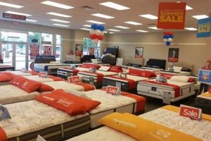 Best Mattress Firm Near Summerville SC: [Brands & Deals!] | Organic & Natural Mattress Buyer’s Guide: Non-Toxic Sleep Solutions