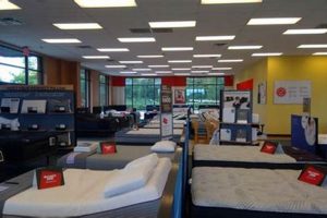 Find Mattress Firm Near Ikea Blvd: Your Best Sleep Here Organic & Natural Mattress Buyer’s Guide: Non-Toxic Sleep Solutions Find Mattress Firm Near Ikea Blvd: Your Best Sleep Here | Organic & Natural Mattress Buyer’s Guide: Non-Toxic Sleep Solutions