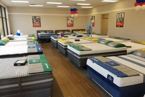 Best Mattress Firm in Memphis TN: [Year] Deals | Organic & Natural Mattress Buyer’s Guide: Non-Toxic Sleep Solutions