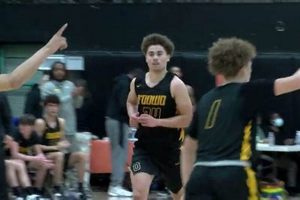 Sleep Firm in Alameda: Mattress Firm Alameda Deals | Organic & Natural Mattress Buyer’s Guide: Non-Toxic Sleep Solutions