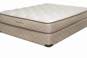 The Ultimate Firm Latex Mattress Guide for Back Support Organic & Natural Mattress Buyer’s Guide: Non-Toxic Sleep Solutions The Ultimate Firm Latex Mattress Guide for Back Support | Organic & Natural Mattress Buyer’s Guide: Non-Toxic Sleep Solutions