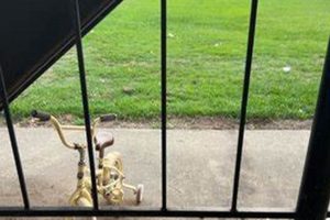 Find Mattress Firm: Perkins Plaza's Best Deals Near You! | Organic & Natural Mattress Buyer’s Guide: Non-Toxic Sleep Solutions