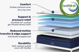 Best DreamCloud Mattress Firm Options + Reviews | Organic & Natural Mattress Buyer’s Guide: Non-Toxic Sleep Solutions