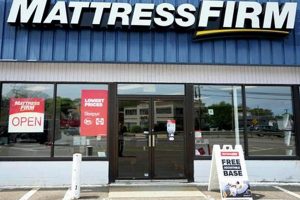 Your Mattress Firm Dedham Guide: Sleep Better Locally Organic & Natural Mattress Buyer’s Guide: Non-Toxic Sleep Solutions Your Mattress Firm Dedham Guide: Sleep Better Locally | Organic & Natural Mattress Buyer’s Guide: Non-Toxic Sleep Solutions
