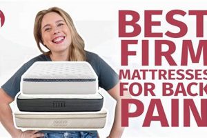 Is Your Firm Mattress Causing Back Ache? Relief Tips | Organic & Natural Mattress Buyer’s Guide: Non-Toxic Sleep Solutions