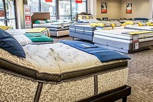 Best Mattress Firm in Columbus GA: Find Your Perfect Bed | Organic & Natural Mattress Buyer’s Guide: Non-Toxic Sleep Solutions